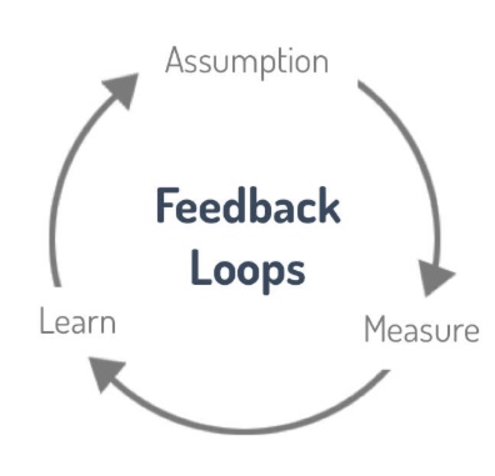 Feedback Loops