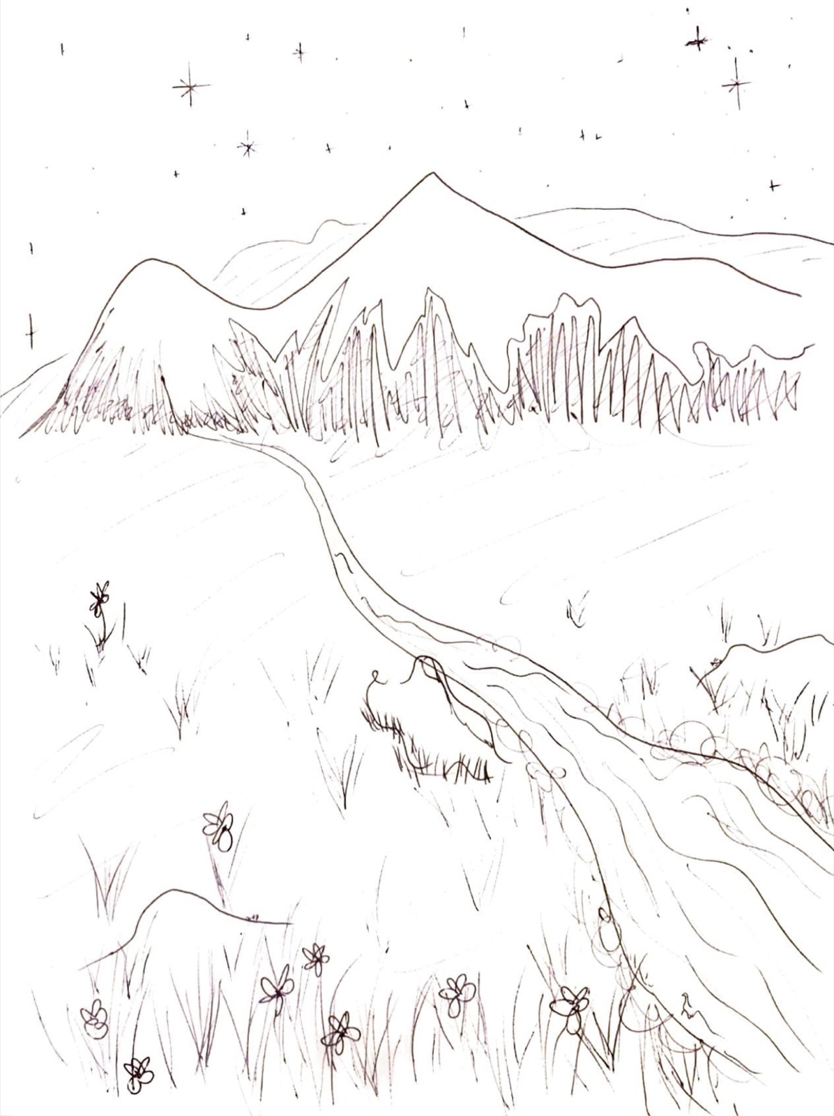 Mountain river scribble