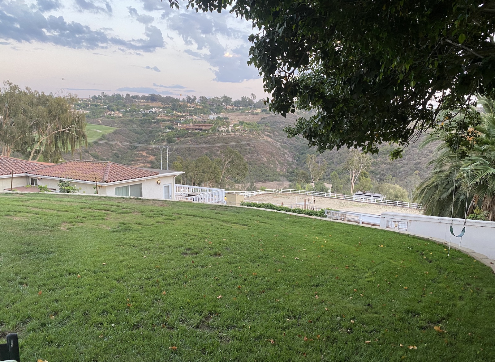 Zodhi Tree View