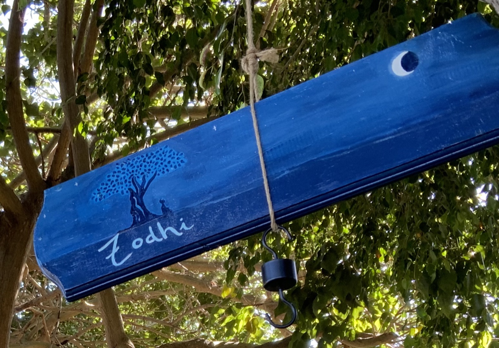 Zodhi tree2