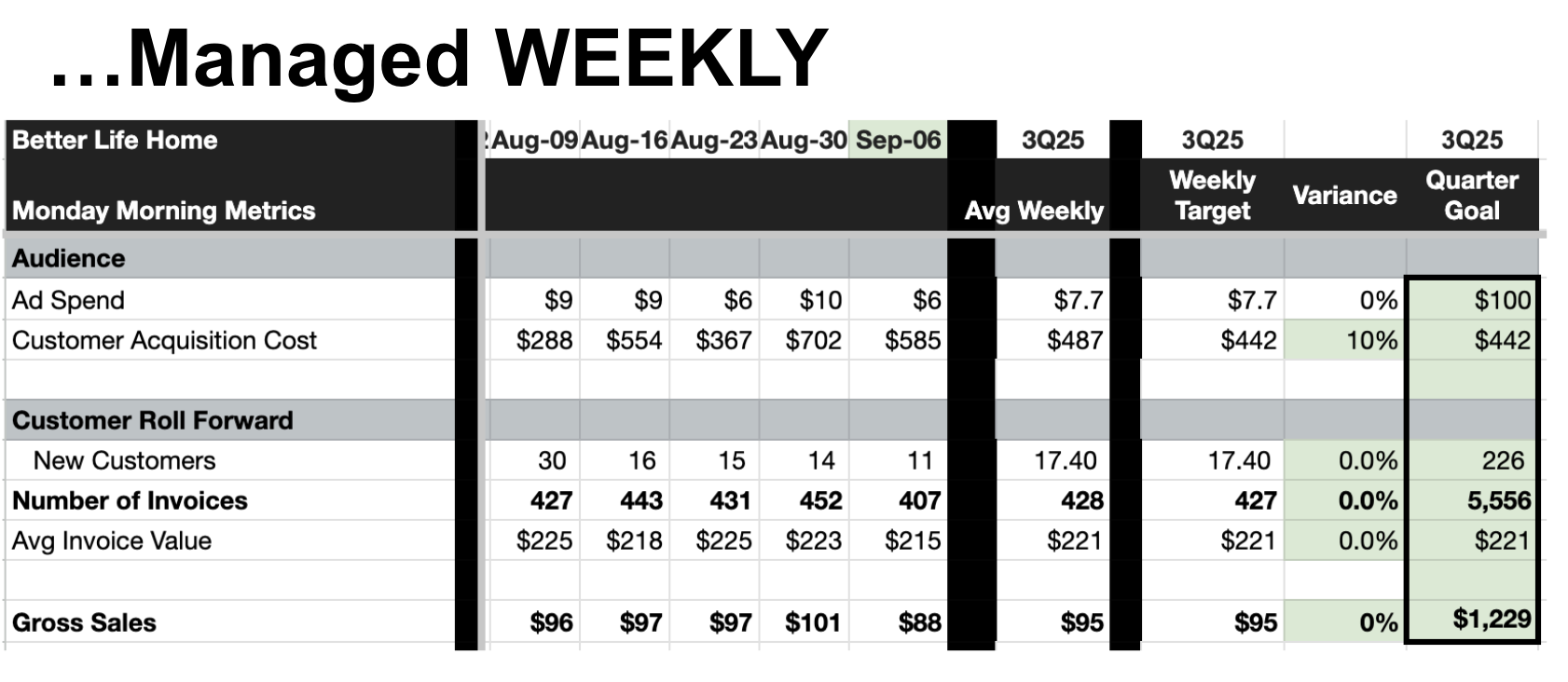 The same goals managed weekly โ actuals, targets, and variance